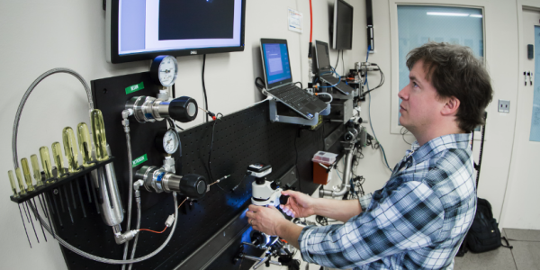 BIOSCI SED Image